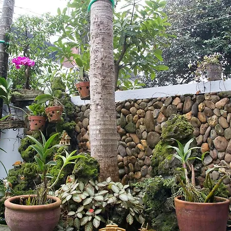 Kota'S House Homestay Hue Exterior photo
