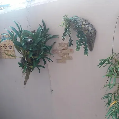 Kota'S House Homestay Hue Room photo